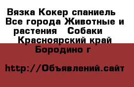 Вязка Кокер спаниель - Все города Животные и растения » Собаки   . Красноярский край,Бородино г.